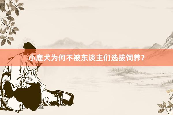 小鹿犬为何不被东谈主们选拔饲养？